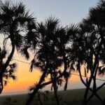 .2- Days and 1 Night Tour To Awash National Park water falls - Analyzing the Experience: What You Can Expect