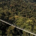 2 Days Chimpanzee trekking & Canopy Walk in Nyungwe National Park - Considerations Before Booking