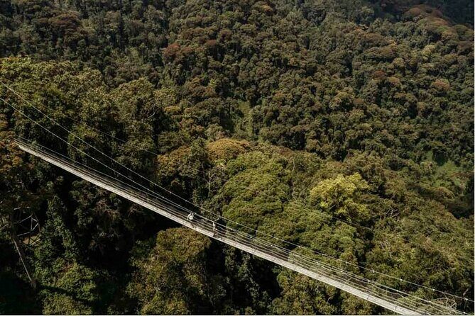 2 Days Chimpanzee trekking & Canopy Walk in Nyungwe National Park - Considerations Before Booking