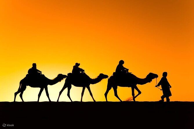 2 Days Circuit From Marrakech To Zagora Desert - Transportation, Group Size, and Overall Value