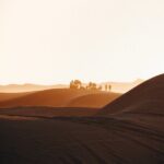 2 Days Desert Private Luxury Couple's Retreat Camel Trek + Quad - What Makes This Tour Stand Out?