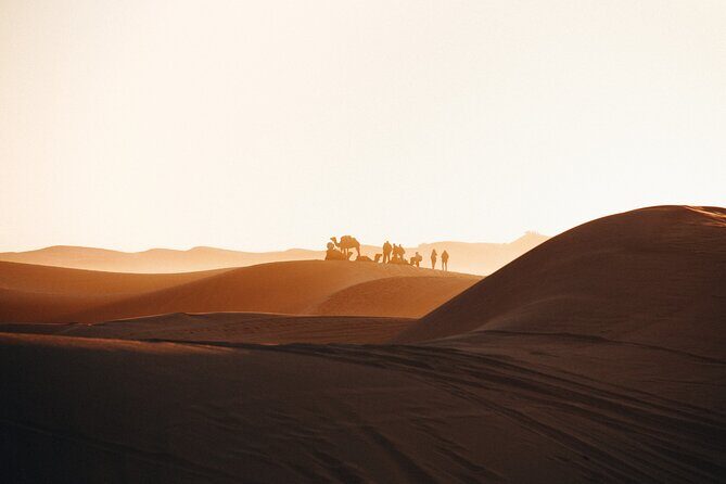 2 Days Desert Private Luxury Couple's Retreat Camel Trek + Quad - What Makes This Tour Stand Out?