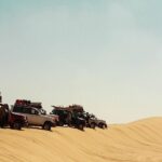 2 Days Desert Safari Trip to Fayoum Oasis from Cairo - What Makes This Tour Stand Out?
