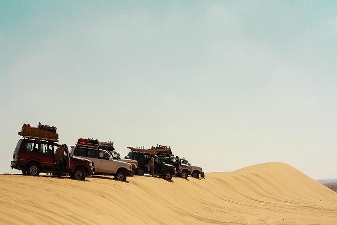 2 Days Desert Safari Trip to Fayoum Oasis from Cairo - What Makes This Tour Stand Out?