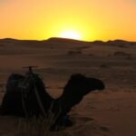 2 days Fes to Merzouga back to Fes - What’s Included and What to Consider