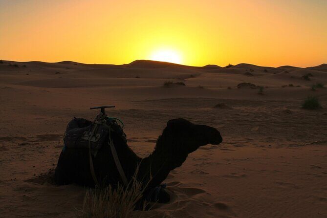 2 days Fes to Merzouga back to Fes - What’s Included and What to Consider