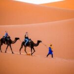 2 Days from Marrakech to Merzouga - What’s Included and What to Expect