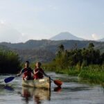 2 Days Gorilla & Golden Monkey Trekking Safaris - Why This Tour Is Perfect for You