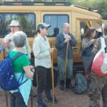 2 Days Gorilla Trekking Uganda - A Deep Dive into the 2-Day Gorilla Trekking Experience