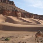 2 days in the desert from Marrakech - What Travelers Appreciate Most