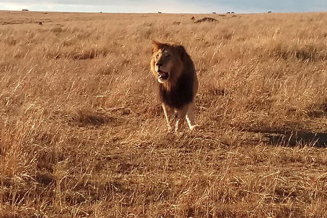 2 Days Lake Nakuru N/P - Why You’ll Love the 2 Days Lake Nakuru N/P Tour