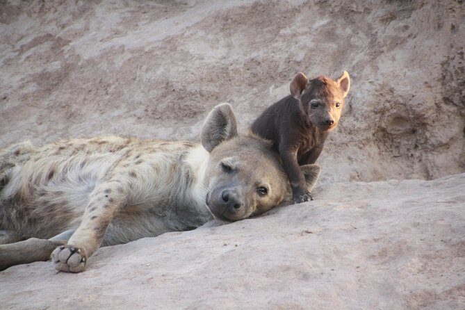 2 Days Lake Nakuru Safari - Who Will Love This Tour?