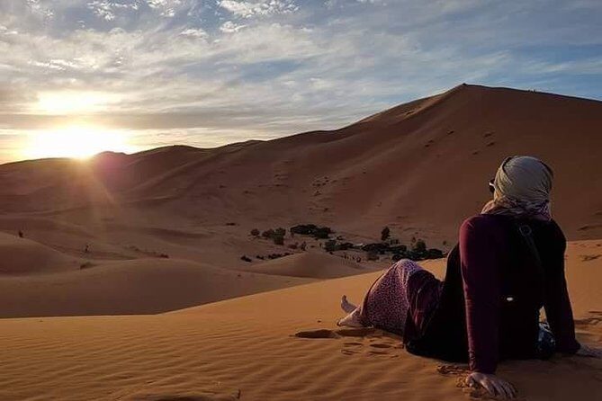 2 Days Luxury Private Tour Fez to Desert - Transportation and Guide Quality