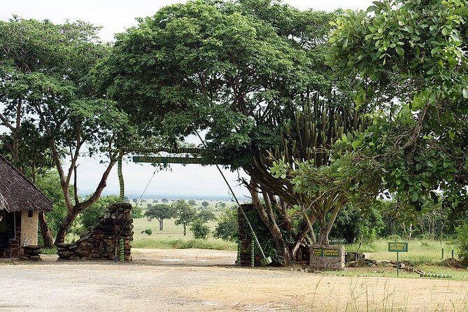 2 Days - Mikumi safari depart from Zanzibar or Dar es salaam - Detailed Breakdown of the Itinerary