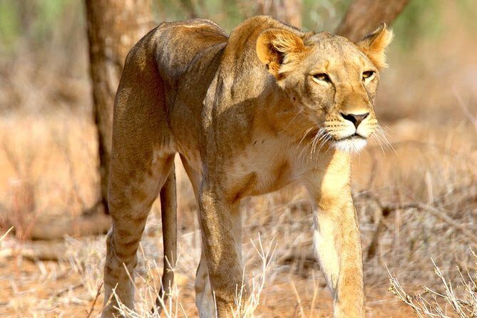 2 Days Morogoro- Selous Game Reserve(Nyerere national park) - The Value Proposition: Is It Worth It?