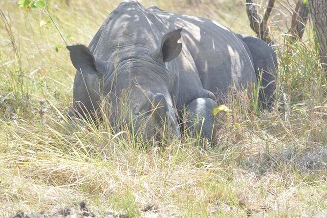 2 days Murchison Falls and Wildlife Game Viewing - The Value of This Experience