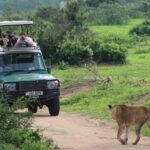 2 Days Murchison Falls Park Vacation - Accommodation and Additional Details