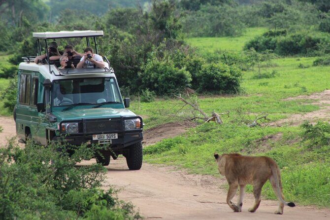 2 Days Murchison Falls Park Vacation - Accommodation and Additional Details