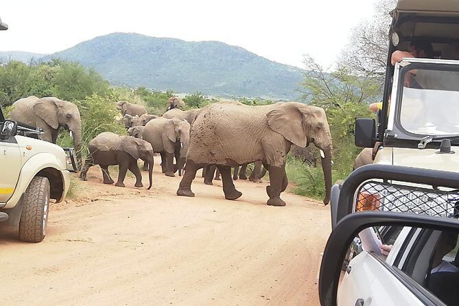 2 Days Pilanesberg Safari 4 star lodge - The Lodge: Comfort Meets the Wilderness