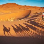 2 Days Private Journey in Fez Desert with Camel Trek - The Sahara and Camel Trek