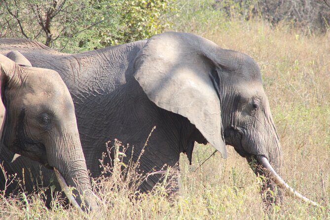 2 days private lodge safari - Meals and Accommodation