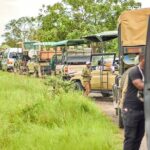2 Days Private Safari Tour of Mikumi - An In-Depth Look at the Tour Experience