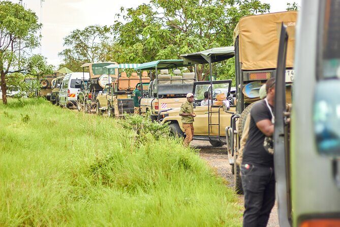 2 Days Private Safari Tour of Mikumi - An In-Depth Look at the Tour Experience