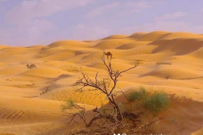 2 Days Private to Ksar Ghilan and Chenini night in Bivouac - What Makes This Tour Special?