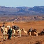 2 Days Private Tour From Marrakech To Zagora Desert - Second Day: From Desert to Filming Locations and Marrakech