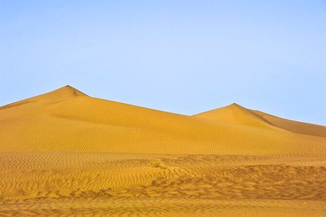2 Days Private Tour From Marrakech to Zagora desert - Why This Tour Offers Great Value