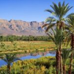 2-Days Sahara desert tour to Erg Lihoudi from Marrakech - Authentic Experiences that Set This Tour Apart