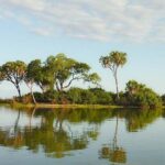 2 Days Selous Game Reserve Safari from Zanzibar or Dar es salaam - Final Words