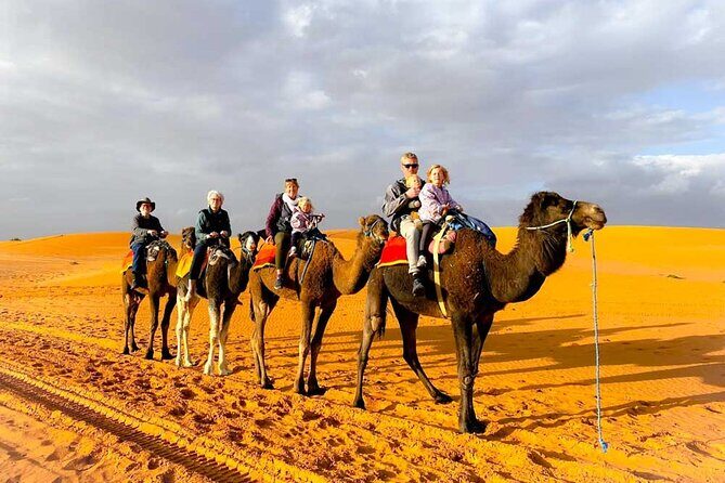 2 Days Tour from Fes to Merzouga Sahara - Transport and Group Size