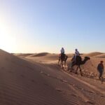 2 days tour from marrakech to merzouga - Starting in Fes: Setting the Scene for Adventure