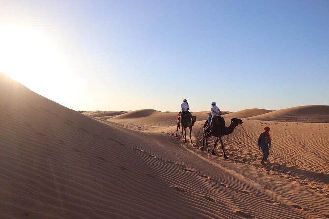 2 days tour from marrakech to merzouga - Starting in Fes: Setting the Scene for Adventure