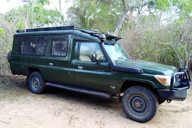 2 Days Tour From Zanzibar to Nyerere National Park (Selous GR) - The Price and Its Value