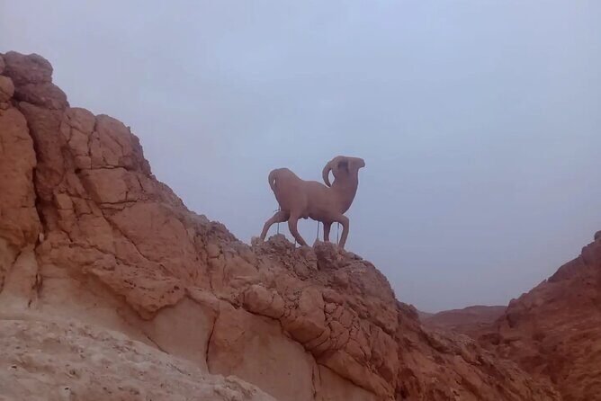2 Days Tour of the Sahara from Hammamet - Who Is This Tour Best For?