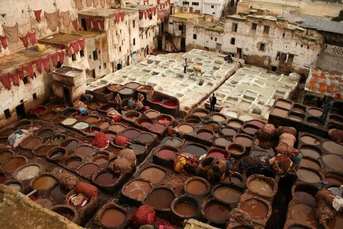 2 days tours from Fez to Fez - Who Is This Tour Best For?