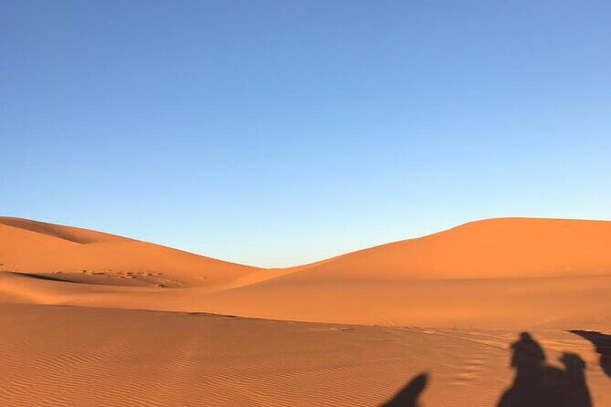 2 Days trip in a small group from FEZ to FEZ passing by MERZOUGA - The Sum Up