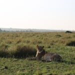 2 Days Tsavo East National Park Tour From Mombasa/Diani (1 Night) - The Sum Up