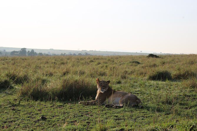 2 Days Tsavo East National Park Tour From Mombasa/Diani (1 Night) - The Sum Up