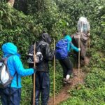 2 Days Uganda Gorilla Trekking - What We Loved About This Tour