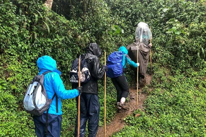 2 Days Uganda Gorilla Trekking - What We Loved About This Tour