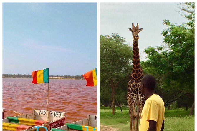 2 Days VISIT Dakar CITY, Gorée ISLAND - PINK LAKE, Parc Bandia - An In-Depth Look at the Two-Day Dakar Experience