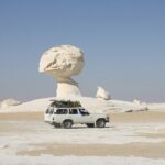 2 Days White Desert And Bahariya Oasis Tour - What Makes This Tour Stand Out?