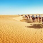 2-Days Zagora Trip from Marrakech to atlas and Camel Trek and Desert Camp - Key Points