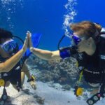 2-Dive adventure-Safe & Top-rated boat for Certified Divers - Who Should Book This Tour?