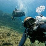 2 Dives for certified divers in Fujairah with BBQ lunch - What We Think You’ll Love