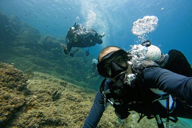2 Dives for certified divers in Fujairah with BBQ lunch - What We Think You’ll Love