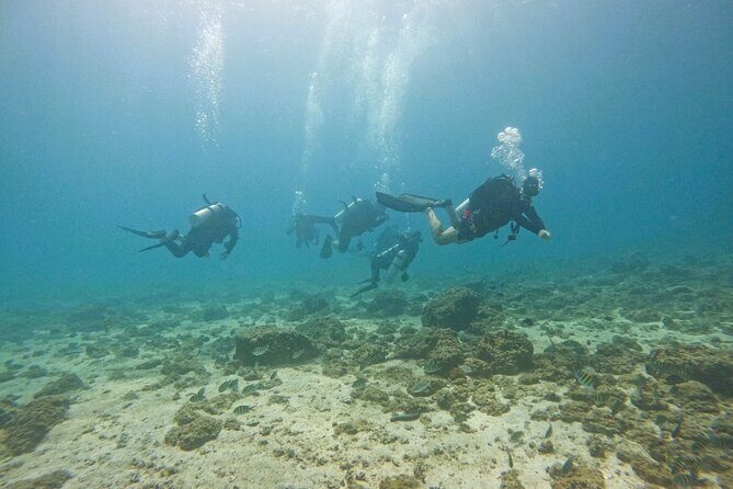 2 Dives for Certified Divers in Fujairah with lunch & transfer - Exploring the Itinerary: What to Expect on Your Day in Fujairah